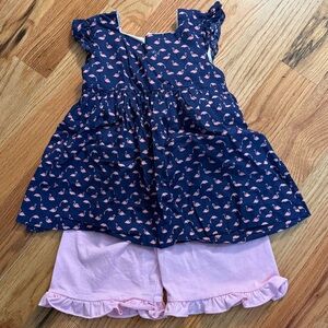 Flamingo short set 3t
